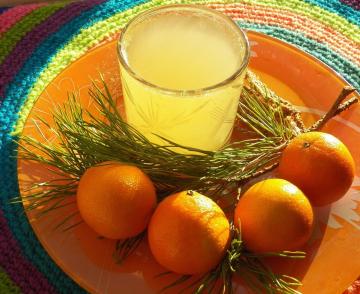 Mandarin-jelka pijača z vitaminom C. Božič novost 2020!