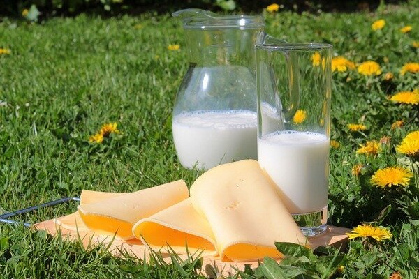 Otroke najbolje postrežemo tako z mlekom kot s sirom (Foto: Pixabay.com) 