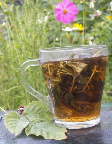 Antipiretik zeliščni čaj Malina