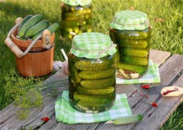 Kako ohraniti kumarice v stanovanju brez kleti ali kleti