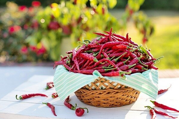 Znanstveniki so ugotovili - čili paprika podaljša življenje (Foto: Pixabay.com)