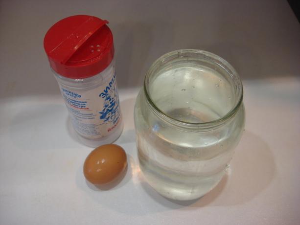 Foto: avtor (sol, kozarec vode, jajce, pomikanje v desno)