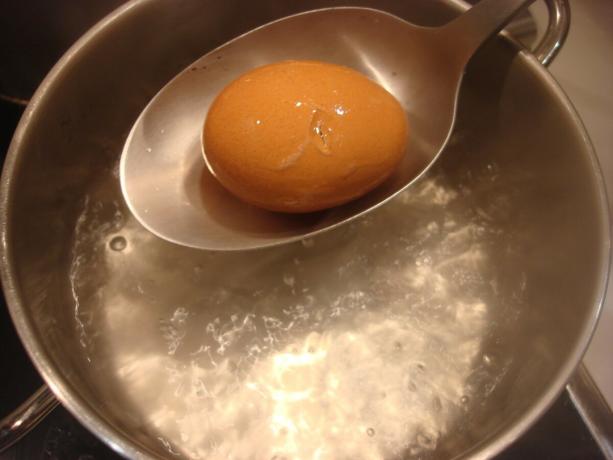 Slika, ki jih je avtor izvedel (dip jajce v namaščen pekač)