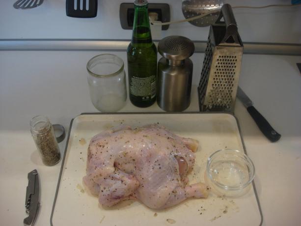 Slika, ki jih je avtor izvedel (piščanec namažejo s soljo, poprom in česnom)