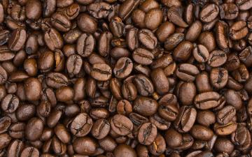 TOP 4 najbolj čudne vrste kave - ste vedeli zanje?