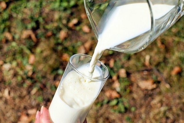 Če pa po kozarcu mleka čutite neprijetne občutke v želodcu ali črevesju, je bolje, da to zavrnete v korist fermentiranih mlečnih izdelkov (Foto: Pixabay.com)