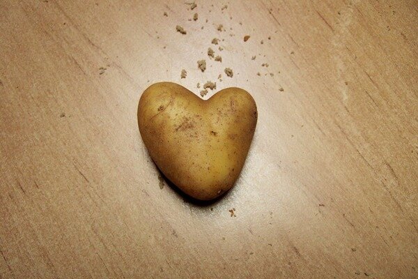 Krompir bo pomagal pri srčnih boleznih (Foto: Pixabay.com)