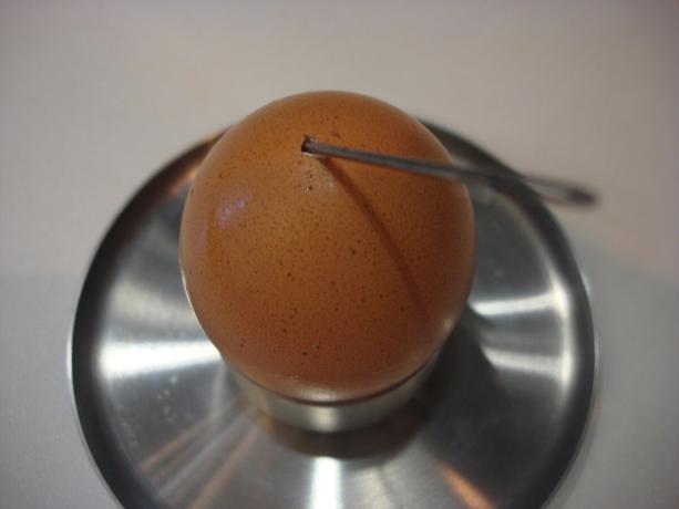 Foto: avtor (jajce, preboden z iglo, se pomaknite desno)