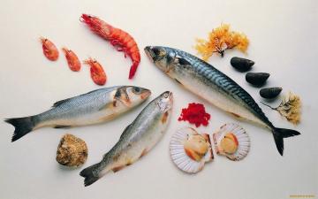 Kako kuhati morski sadeži in slano ribo?
