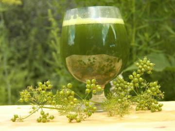 Pijte iz baktericidno cilantro koriandra