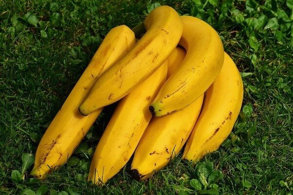 Banane lahko dodate jutranjim smutijem. (Foto: Pixabay.com)