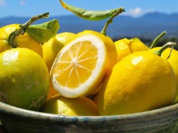 Pravilno zamrznjena limone rešil pred debelostjo, rakom in sladkorno boleznijo!